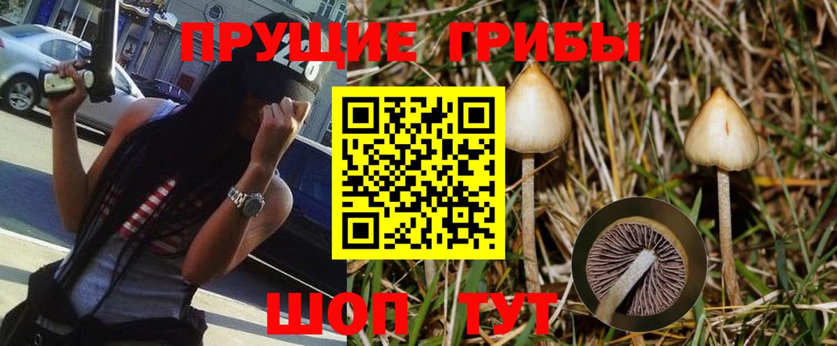 Псилоцибиновые грибы Cubensis  Псилоцибиновые грибы MAGIC MUSHROOMS  Лесозаводск  Вход с VPN 